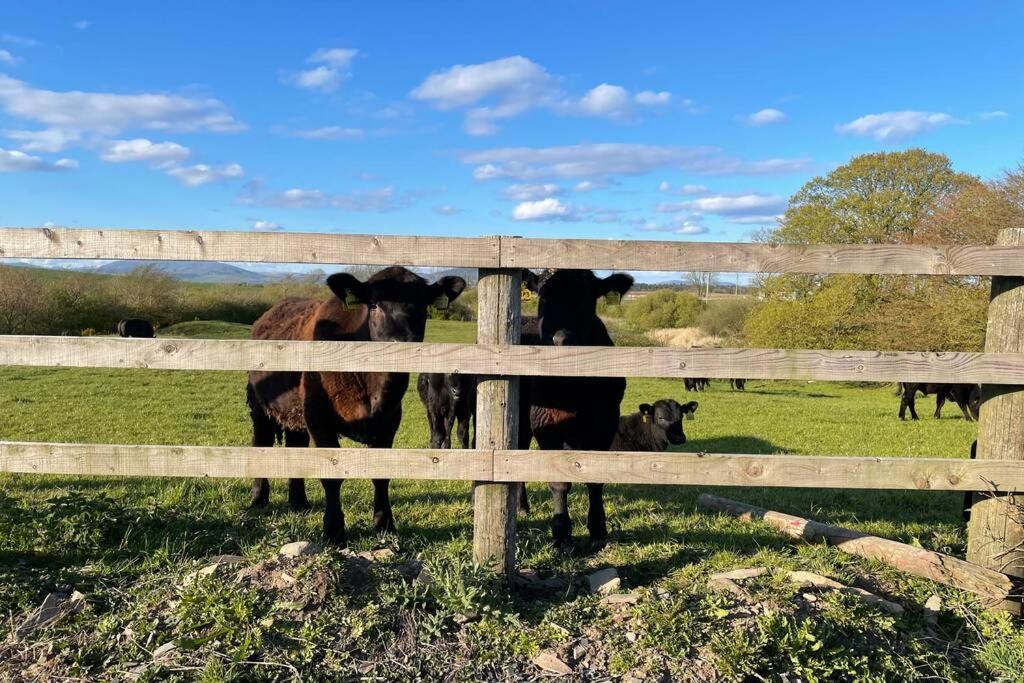 Galloway Farmstay Broughton Нютън Стюарт Екстериор снимка